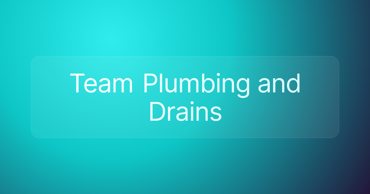 Team Plumbing and Drains