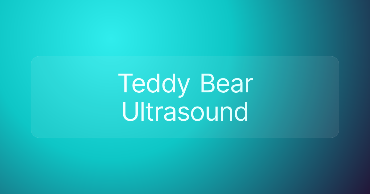 Teddy Bear Ultrasound