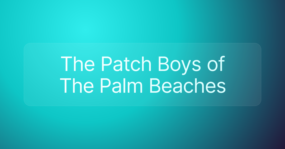 The Patch Boys of The Palm Beaches
