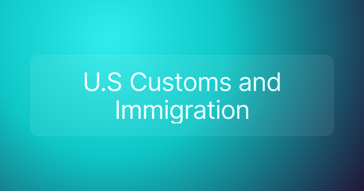 U.S Customs and Immigration