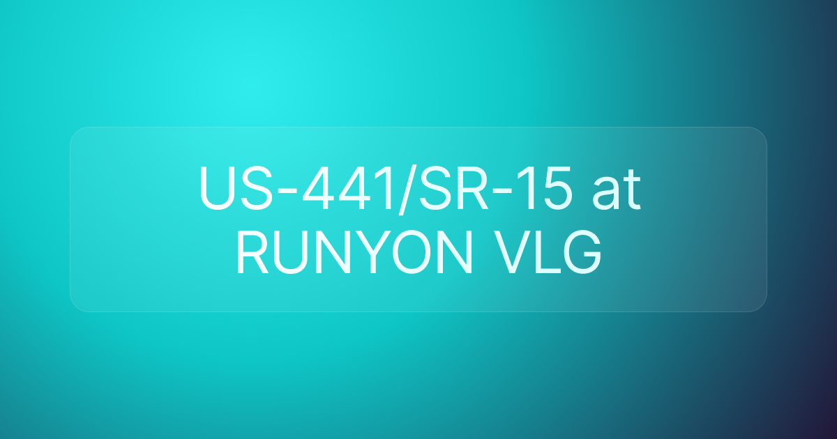 US-441/SR-15 at RUNYON VLG