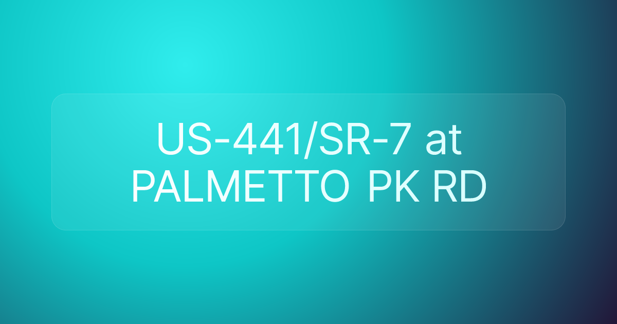 US-441/SR-7 at PALMETTO PK RD
