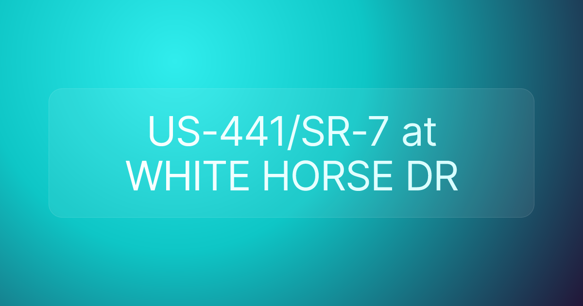 US-441/SR-7 at WHITE HORSE DR