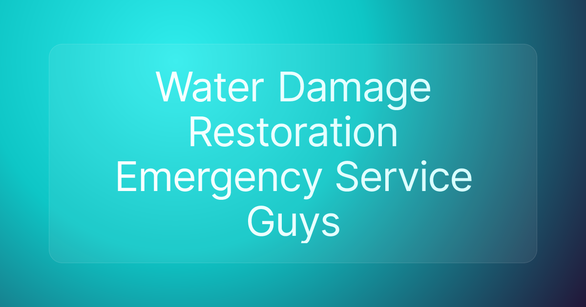 Water Damage Restoration Emergency Service Guys