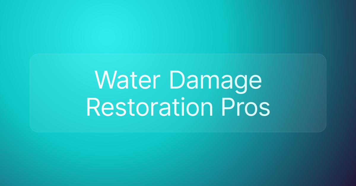 Water Damage Restoration Pros