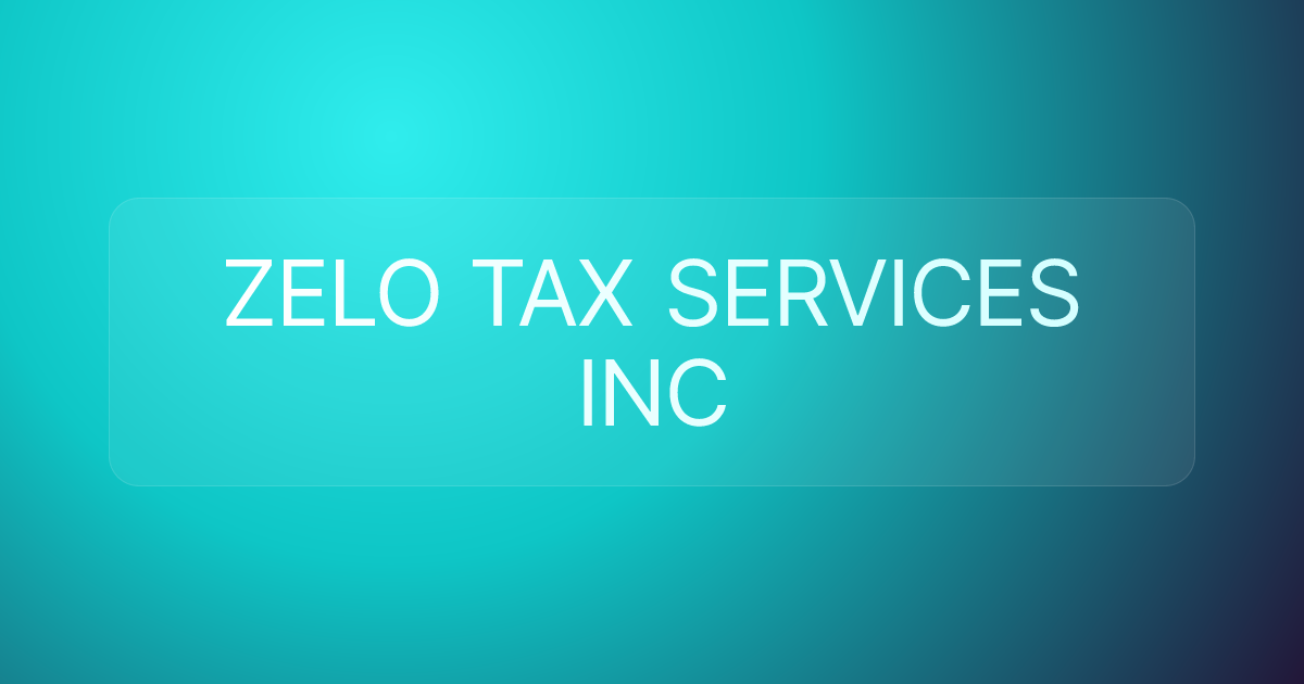 ZELO TAX SERVICES INC