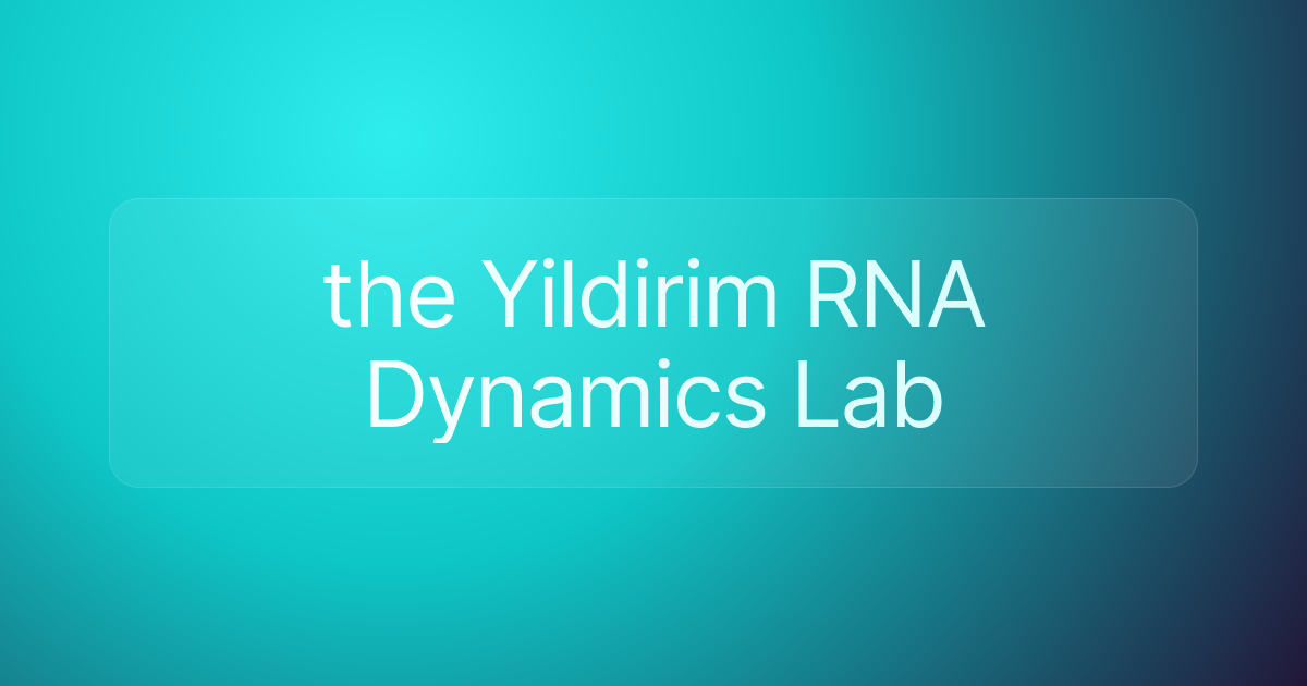 the Yildirim RNA Dynamics Lab